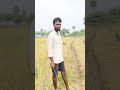 మట్టి తల్లి మట్టి తల్లి agriculture ismartumashekar