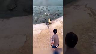 খুবই মারাত্মক এবং ভয়াবহ কুমিরের আক্রমণ | Most dangerous crocodile attack, Crocodile encounter.