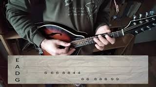 Metallica - Mama Said (mandolin cover with tabs)