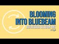 Blooming Into Bluebeam Pt. 1 | Morning Coffee Revu