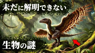 【未解明】2025年になっても解明できない生物の謎4選がヤバすぎた…。Part8【 生物学 ミステリー 都市伝説 】