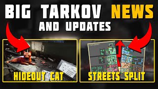 Massive Streets Change, Hideout Cat,  \u0026 More! - Tarkov News