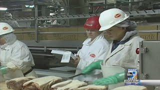 7 fired at Iowa Tyson plant after COVID betting inquiry