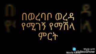 #በወረባቦ ወረዳ የሚመረተው የማሽላ ምርት