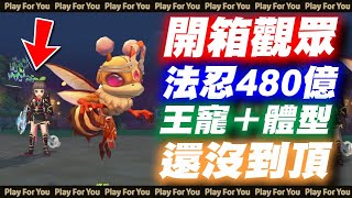 【ROX新世代的誕生】開箱觀眾！法忍480億！王寵＋體型！還沒到頂！｜仙境傳說｜PFY玩給你看