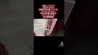 【フィンランド】【ヨーロッパ】忍者が見た衝撃映像