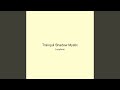 Tranquil Shadow Mystic