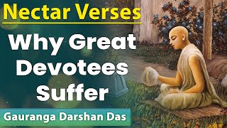 Why Great devotees suffer | Nectar Verses ŚB 1.9.15 | Gauranga Darshan Das