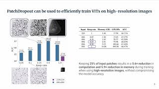 PatchDropout: Economizing Vision Transformers Using Patch Dropout