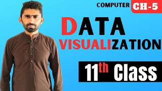What is Data Visualization |11th Class Computer | Chapter 5: Data Analytics