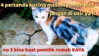 4 pertanda kucing masuki rumah kita / jangan di usir !! pertanda no 3 rezeki nomplok