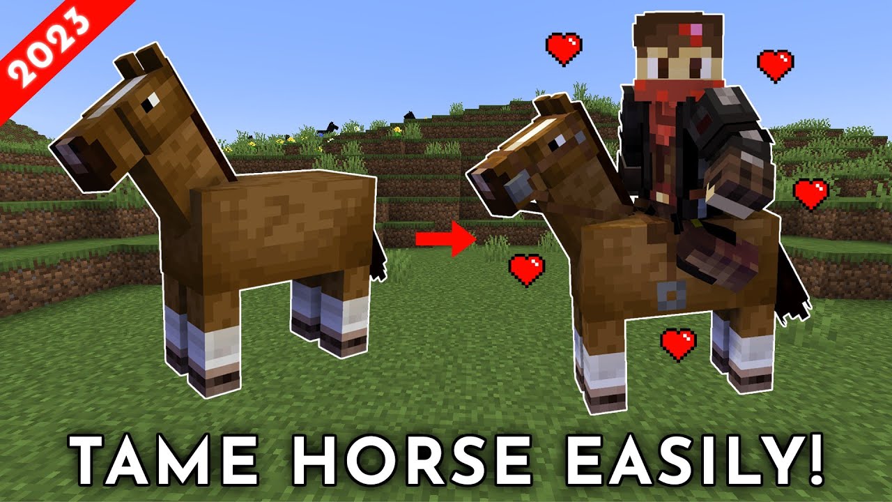 How To Ride A Horse In Minecraft Bedrock At Frank Corbett Blog