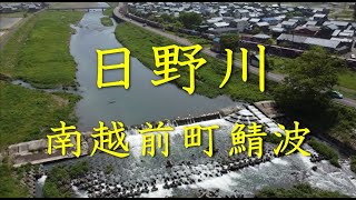 【まいぷれ丹南】南越前町鯖波「日野川空撮」（2021/05/09）