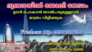 Dubai job vacancy 2024 Malayalam| UAE job vacancy| Gulf job vacancy Malayalam | Today job vacancy