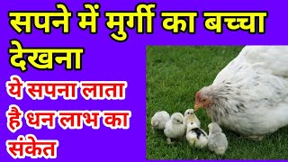 सपने में मुर्गी का बच्चा देखना | Sapne Mein Murgi Ka Bacha Dekhna, Seeing hen cub in dream meaning