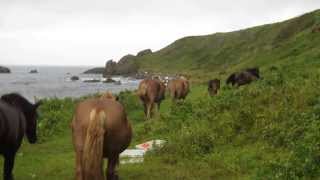 寒立馬 2013【海岸から登っていく光景】