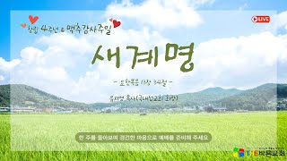 2022. 7. 3. 주일예배 (창립 4주년 \u0026 맥추감사주일 기념예배)