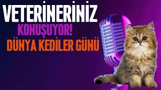 Bu kediler bir harika.! Dünya kediler günü özel yayını!