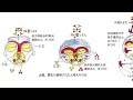 縄文土器の縄目文様は蛇だった。目からウロコの縄文本106