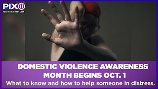 Understanding Domestic Violence