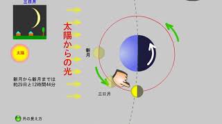 中学理科、天体(130-10) 月の見え方