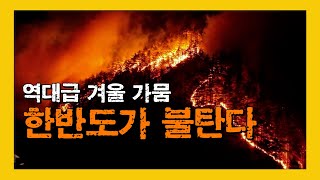 역대 최악 울진 산불 “명백히 기후 위기 때문이다” [신박한 벙커]