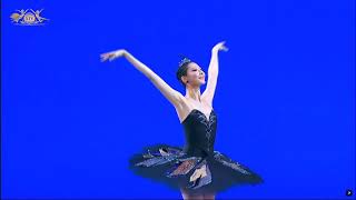 Yujin Kim (Korea) - Odile Variation | XIV Moscow Ballet Competition, Senior Round 3