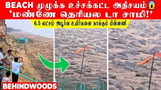 BEACH முழுக்க உச்சக்கட்ட அதிசயம்😱'மண்ணே தெரியல டா சாமி'! 6.5 லட்சம் அபூர்வங்களை காக்கும் பின்னணி