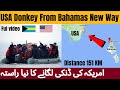 USA donkey border crossing | Bahamas country to America donkey Distance 151 KM | Danki on big ship