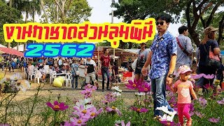 งานกาชาดสวนลุมพินี2562 เริ่ม  15-24