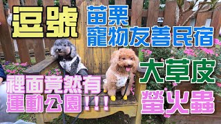 [帕露 咪露]苗栗南庄 寵物友善民宿 逗號  裡面竟然有運動公園!!!帕露 咪露跑起來!!!賞螢火蟲