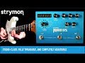 Strymon Mobius