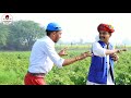 काल्यो चाल्यो मामा क जीजी न लेबा ।। marwadi comadey ।। rajasthani masti