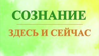 А.В.Клюев - Учимся МОЛЧАТЬ В УМЕ БДИТЕЛЬНОСТЬ - СОЗНАТЕЛЬНОСТЬ, РЕАЛЬНОЕ ВРЕМЯ ЗДЕСЬ и СЕЙЧАС(12/47)