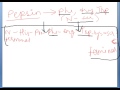 proteolytic cleavage of peptide