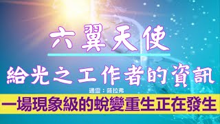 通靈信息【六翼天使】20221029 給光之工作者的資訊；寬恕是關鍵、一場現象級的蛻變重生正在發生、揚升症狀以及禮物、光代碼