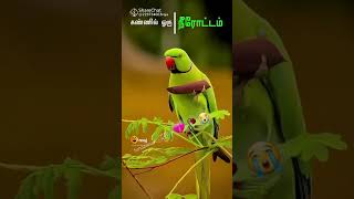 இந்தாபாரு #🤩பொதுமக்களின் விருப்பம்🤔