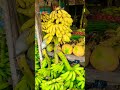 what a beautiful banana  in sri lanka Jaffna 🥰🥰