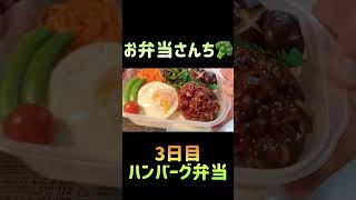 【お弁当詰めるだけ動画】のっけ弁当5日間　　＃Shorts