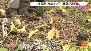 長雨と日照不足で野菜が高値に　梅雨明けはいつ？