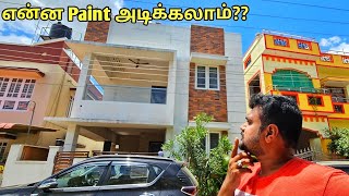 வீடு முழுதும் Best paint அடிக்க | இவங்கதான் Currect | yummy vlogs