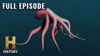 MonsterQuest: Gigantic Octopus Hunts the Deep Sea (S2, E11) | Full Episode
