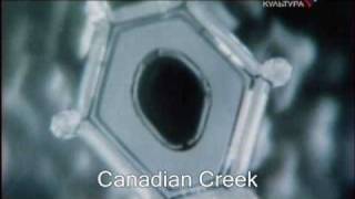 Water: Top Secret Masaru Emoto