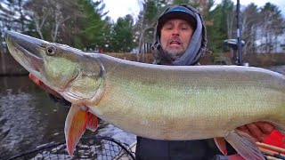 We Found A School Of Muskies In FREEZING WATER!!!