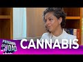 CANNABIS VICIA? DRA. CAROLINA NOCETTI EXPLICA