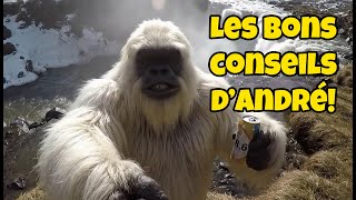 Les bons conseils d'André