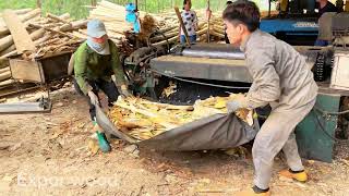 Efficient wood production process