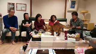 B.J Channel vol.096　2019/11/16版　金星人とお対話した岡ちゃん_勝龍神様対話の出来る山口さん