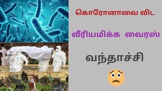 கொரோவை விட வீரியமிக்க வைரஸ்| New virus | நிபா வைரஸ்| Nipah virus details in tamil |