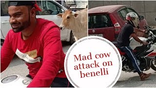 Benelli 302 service | cow attack | JS Films merchandise | #iamjaysnnation